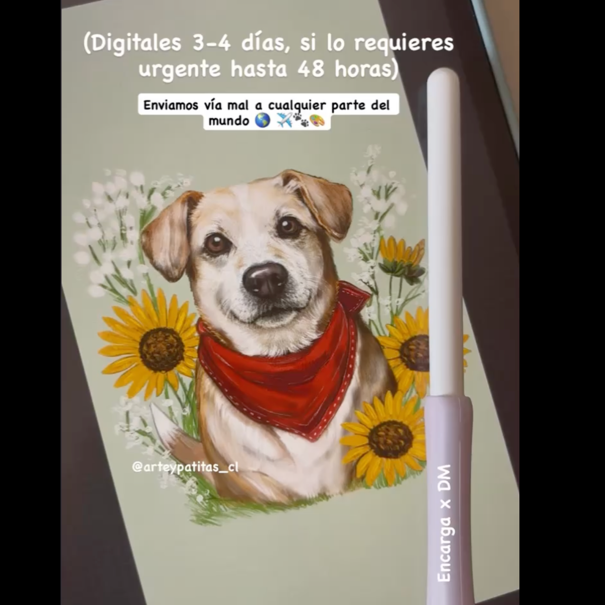 Ilustración Mascota +Flores