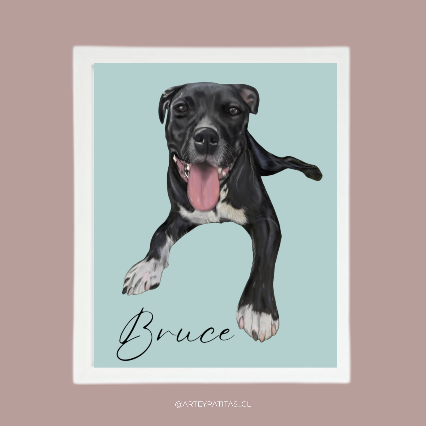 Marco con ilustración Mascota 20x25cm