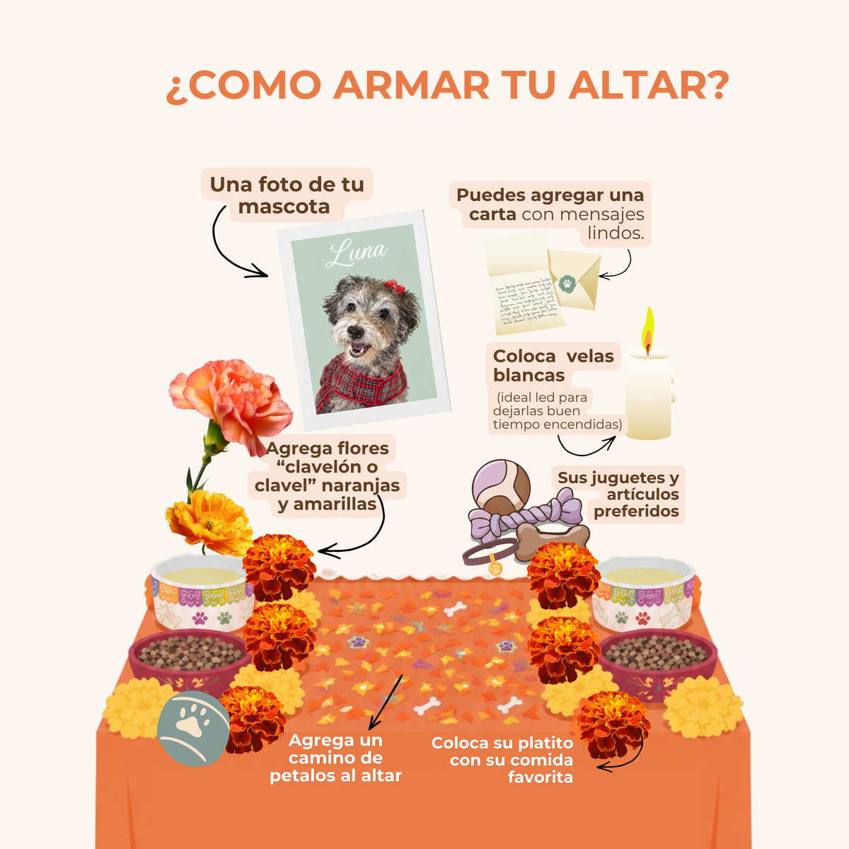 Kit Altar Día de los muertos