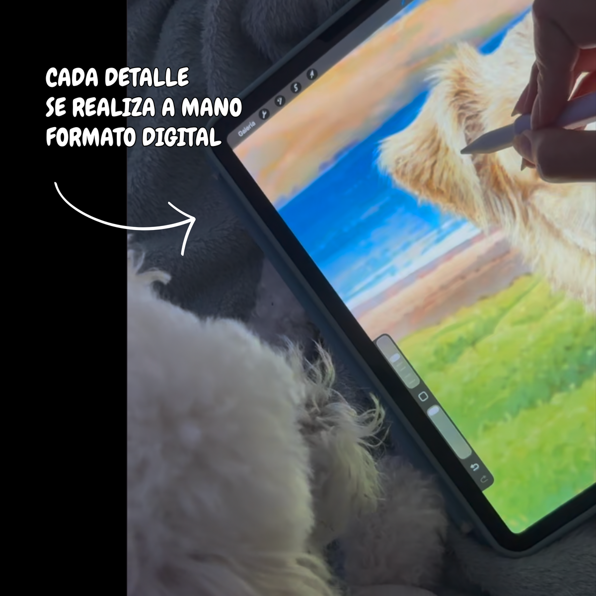 Ilustración Mascota + Paisaje
