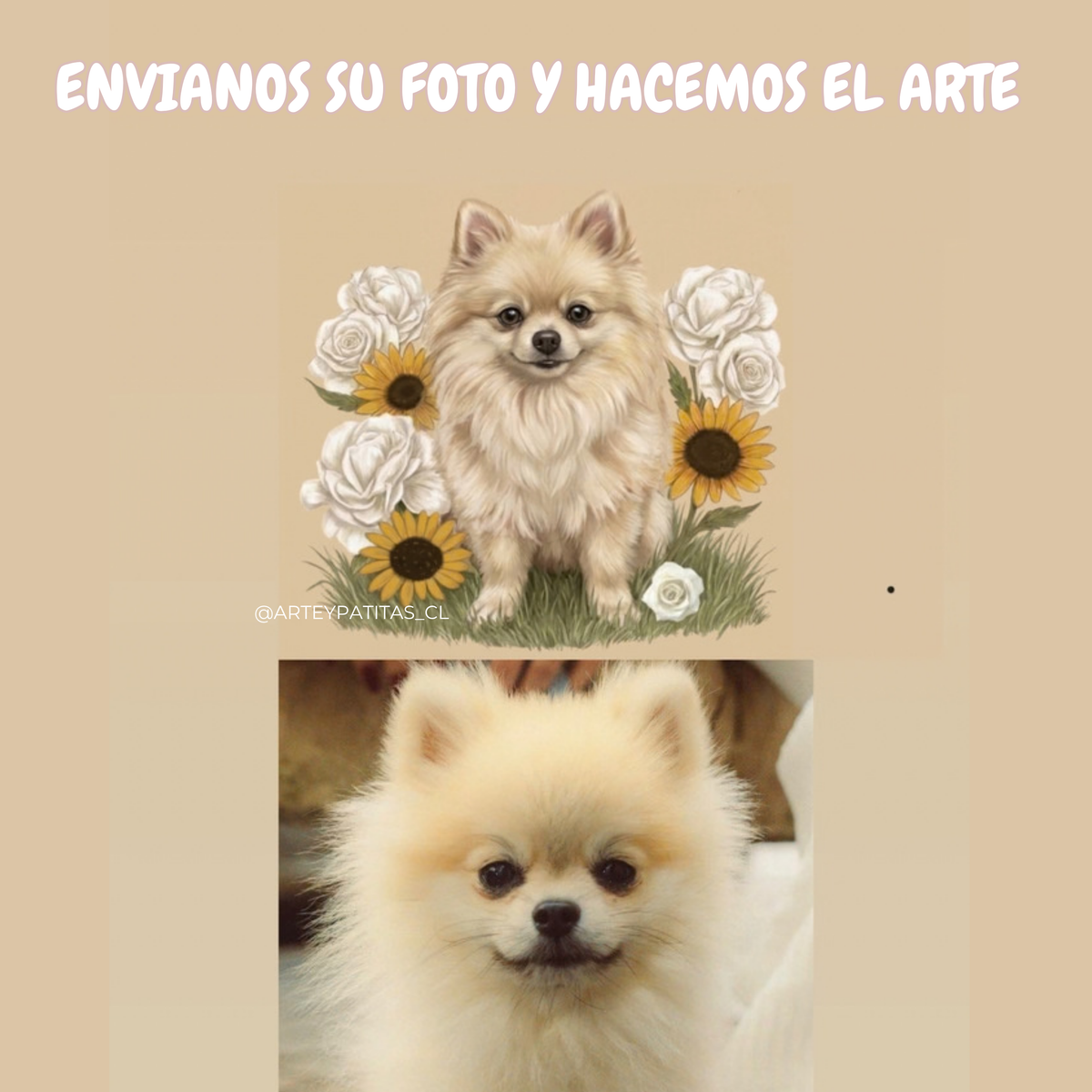 Ilustración Mascota +Flores