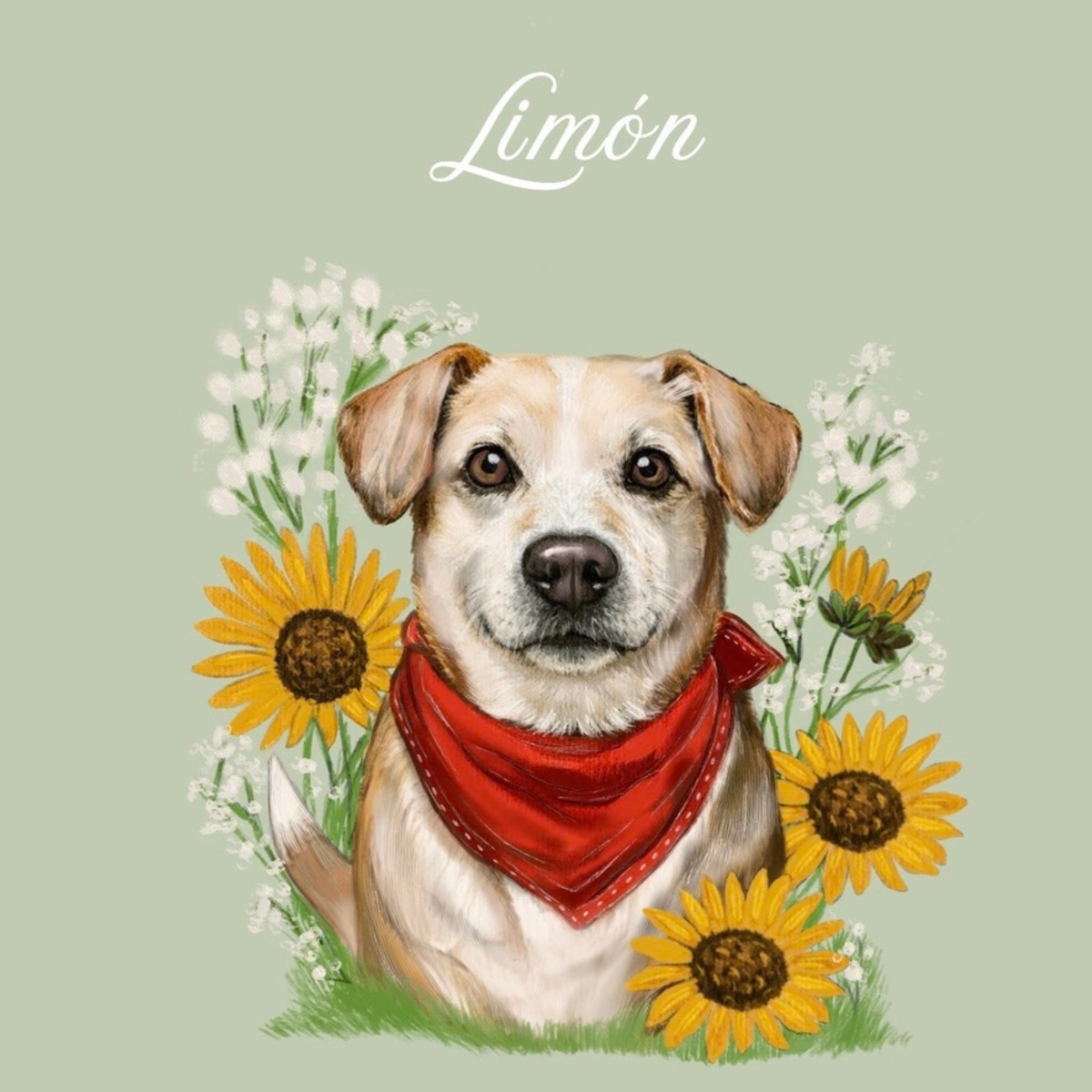 Ilustración Mascota +Flores