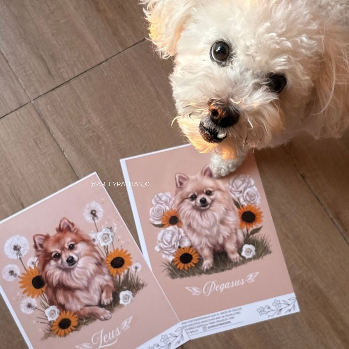 Ilustración Mascota +Flores