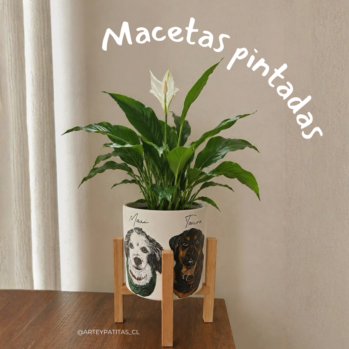 Maceta con retrato 1-2 mascotas