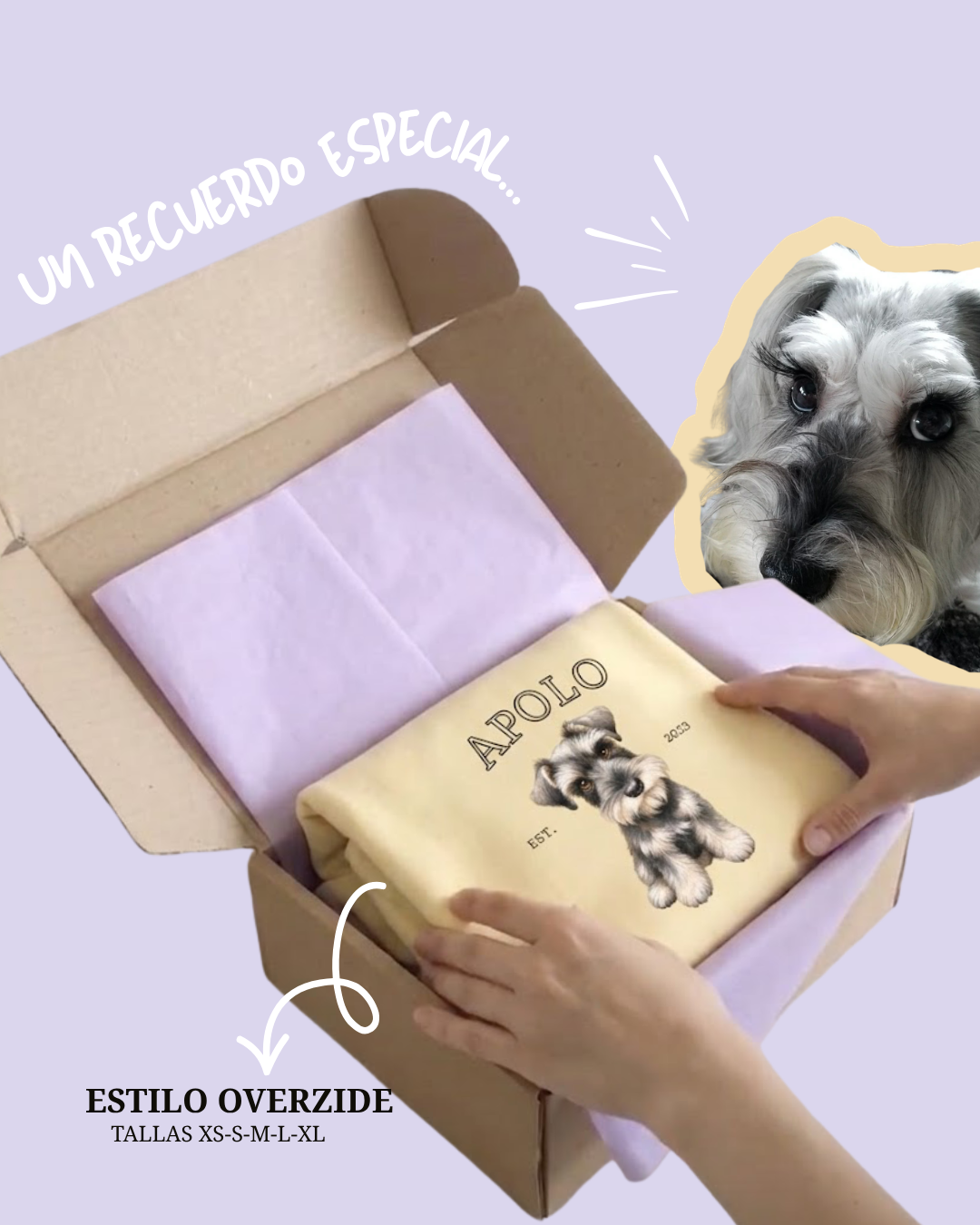 Poleron con ilustración