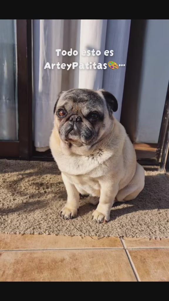 Cargar video: arteypatitas es un emprendimiento inspirado en mascotas donde retrataran y pintan a tu mejor amigo en tazas, lienzos cuadros, digitales e incluso en ropa para que lo lleves siempre contigo.